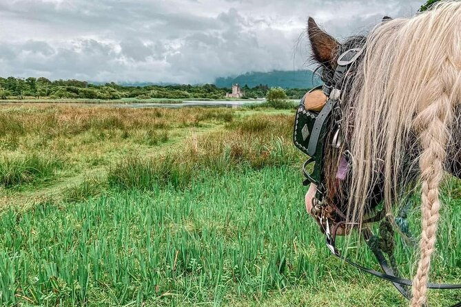 killarney-jaunting-car-tour