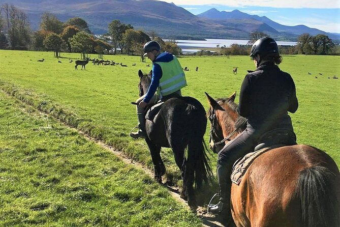 killarney-national-park-horseback-ride-co-kerry-guided-3-hours-2