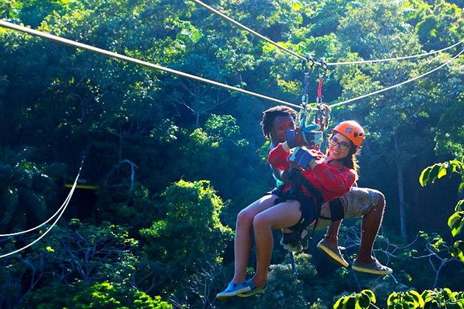 king-kong-extreme-zipline-city-tour-sloths-monkeys-private-shuttle