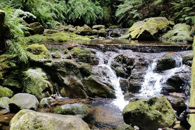 kings-levada-sao-jorge