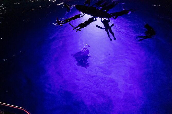 kona-night-manta-snorkel-tour