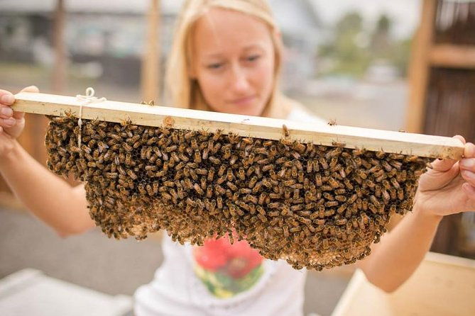 kona-tour-bee-farm-kona-coffee-and-national-historical-parks