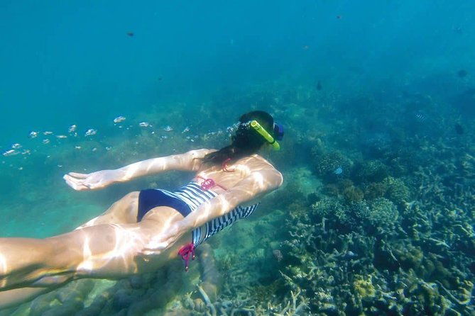 kornati-islands-snorkeling-excursion-from-zadar-2