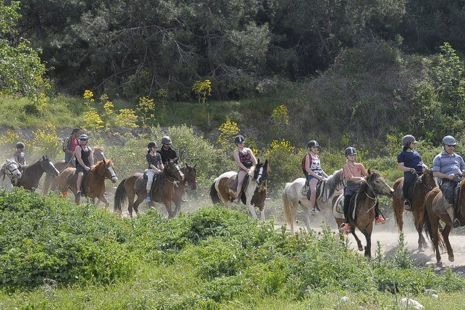 kusadasi-horse-riding-beach-and-forest-with-transfer-2