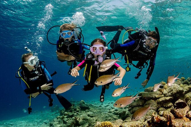 kusadasi-scuba-diving-tour-by-local-experts