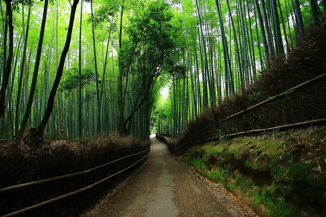 kyoto-full-day-trip-from-osaka