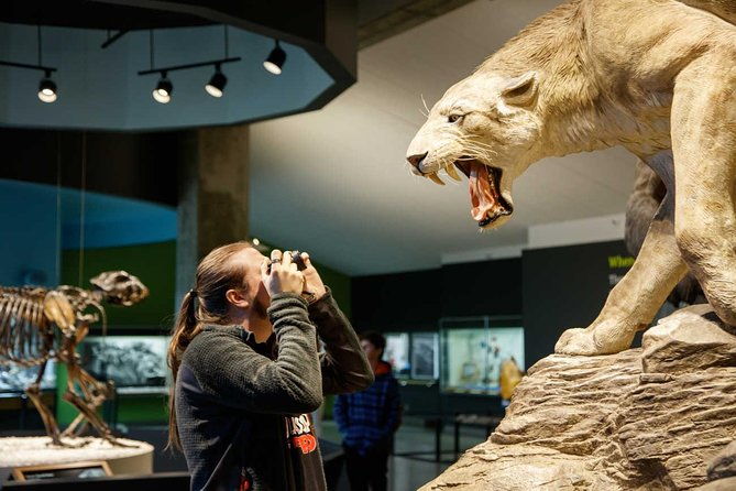 la-brea-tar-pits-and-museum-admission-ticket-with-excavator-tour