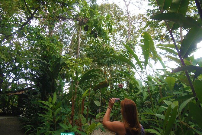 la-fortuna-birds-butterfly-garden-sloths-guided-tour-2hrs