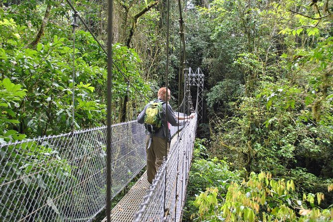 la-fortuna-waterfall-hanging-bridges-arenal-volcano-combo-tour