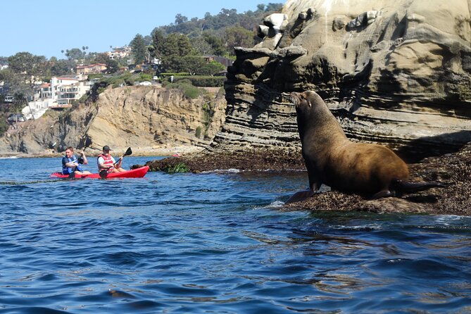 la-jolla-kayak-rental-2