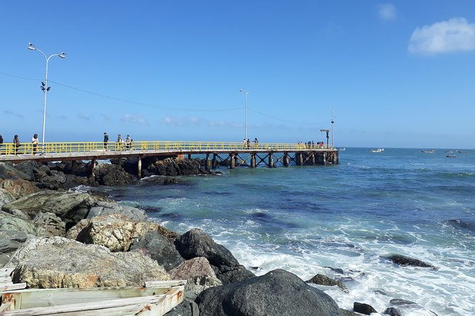 la-serena-full-day-to-damas-island-humboldt-penguin-national-reserve