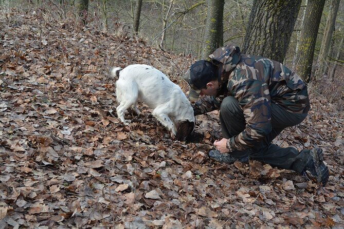 langhe-truffle-hunting-experience