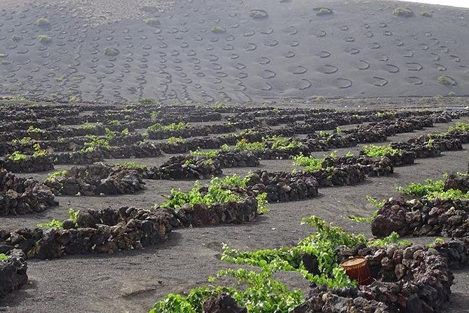 lanzarote-highlights-private-tour-with-pickup-price-per-vehicle-not-p-p