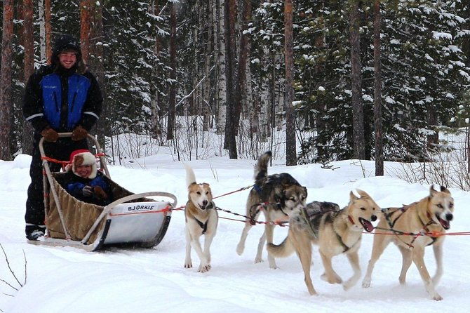 lapland-husky-safari-from-saariselka