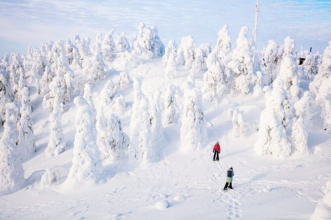 lapland-winter-experience-2