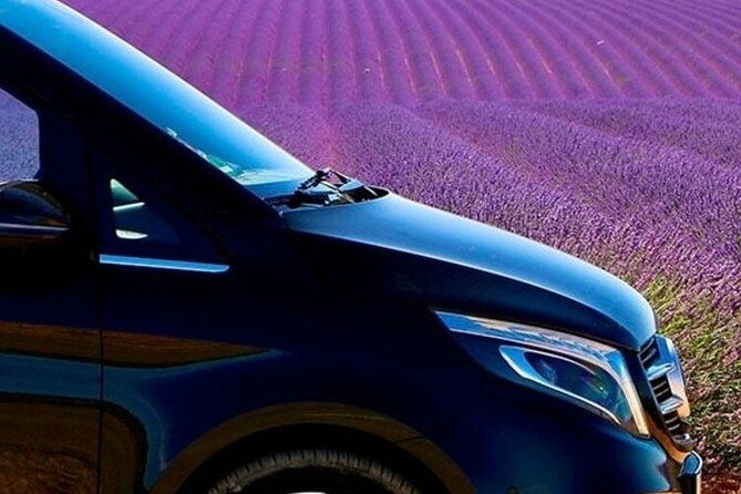 lavender-fields-full-day-private-tour-from-marseille