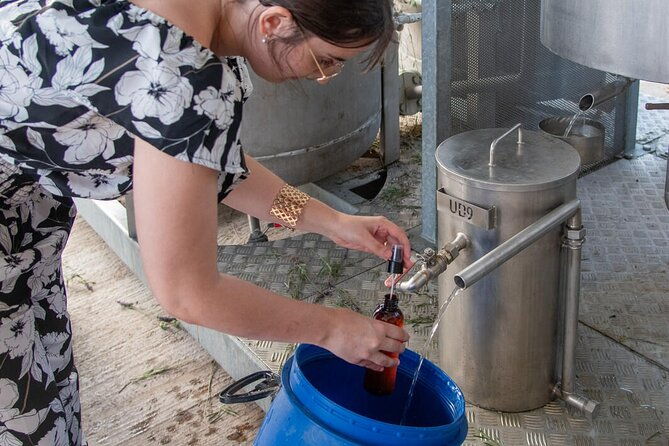 lavender-harvesting-and-distillation-workshop-in-bellegarde