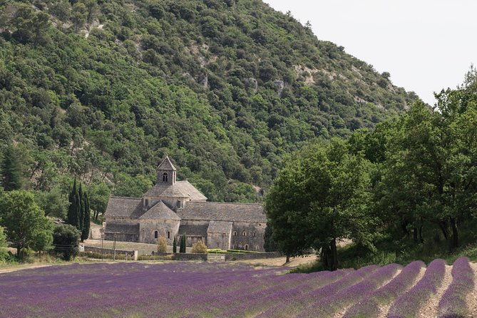 lavender-in-luberon-small-group-half-day-trip