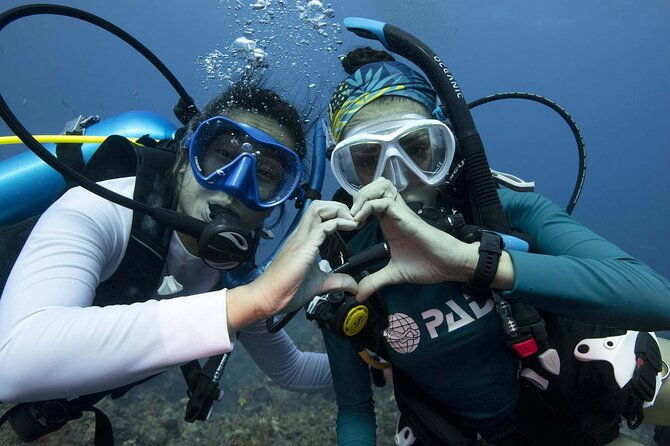 learn-scuba-diving-in-tenerife-with-photos-included