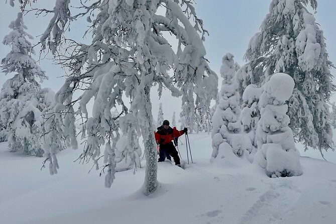 levi-snowshoeing-adventure-in-the-national-park-4