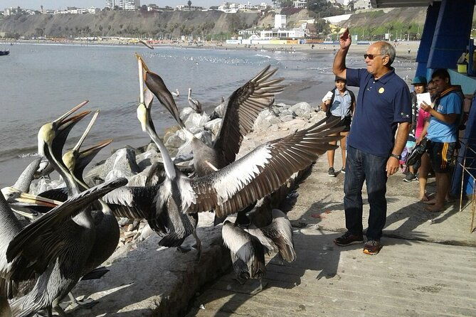 lima-south-with-dancing-horse-show-option