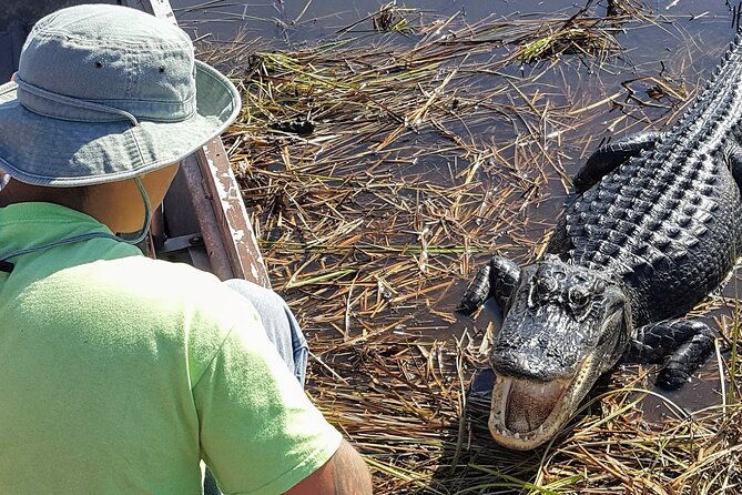 little-havana-walking-tour-1-hour-everglades-airboat-ride
