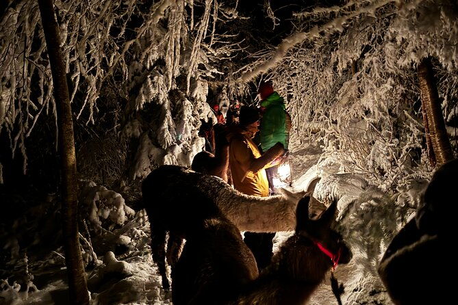 llama-hike-with-homemade-traditional-cheese-fondue