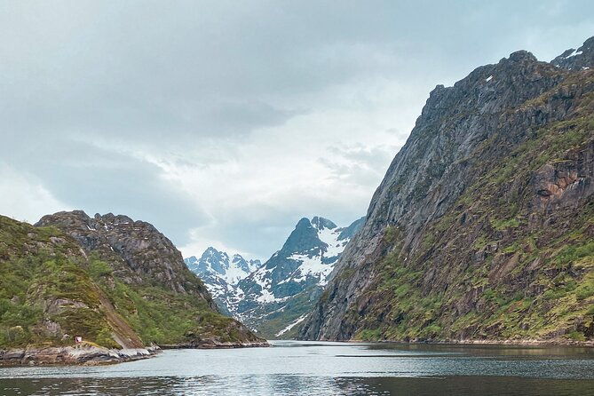 lofoten-islands-luxury-trollfjord-cruise-with-lunch-from-svolvaer-2