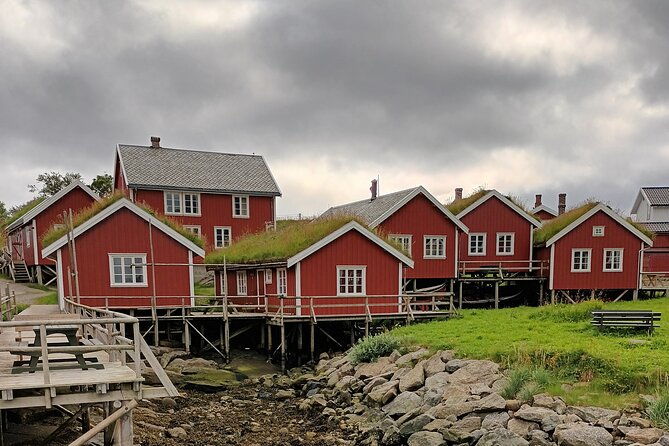 lofoten-vip-private-tour-from-leknes-city-port-3