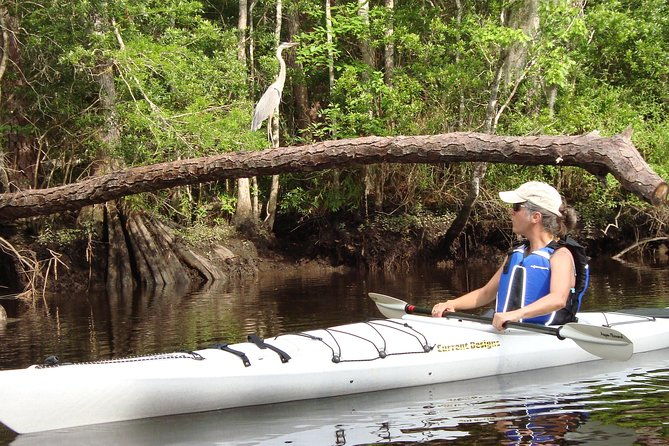 lofton-creek-kayaking-trip-with-professional-guide-2