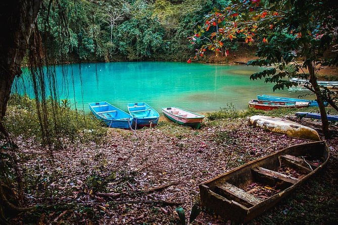los-haitises-cayo-levantado-lunch-included-from-samana-in-catamaran-or-boat