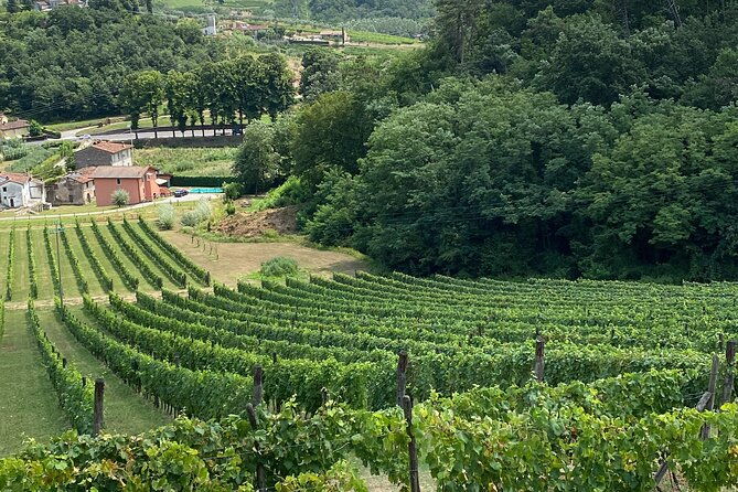 lucca-tour-and-pisa-tower-winetasting-by-van-from-la-speziaport