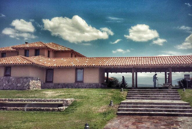 lujan-deluxe-full-day-premium-wine-tour-with-gourmet-lunch