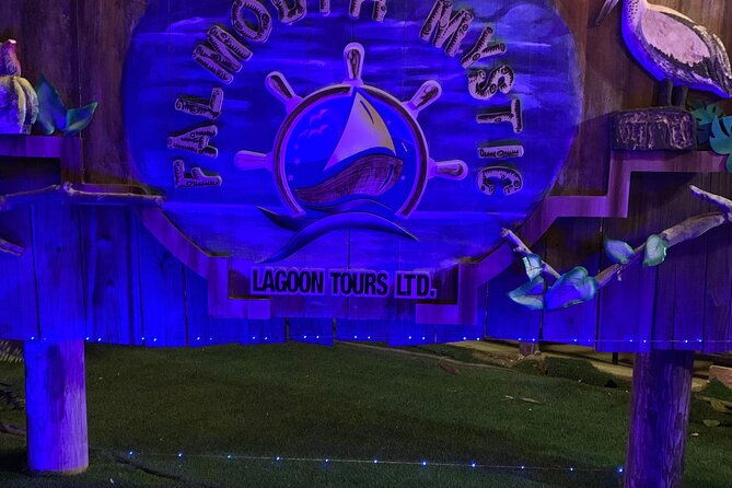 luminous-lagoon-night-tour-from-ocho-rios