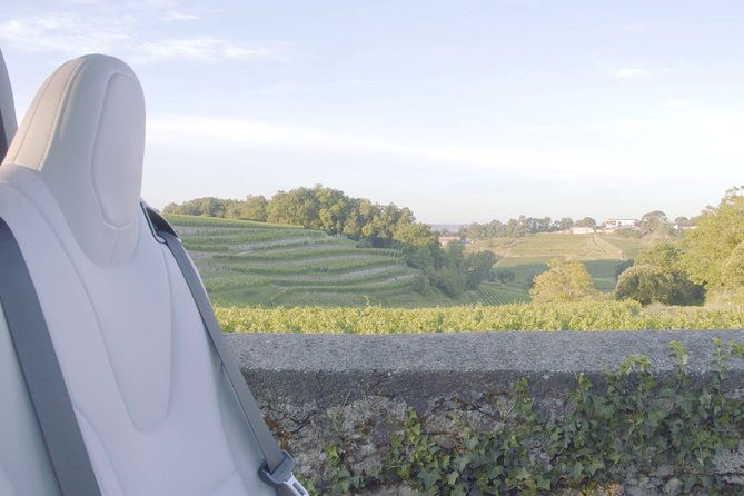 luxurious-full-day-bordeaux-wine-tour-in-a-tesla