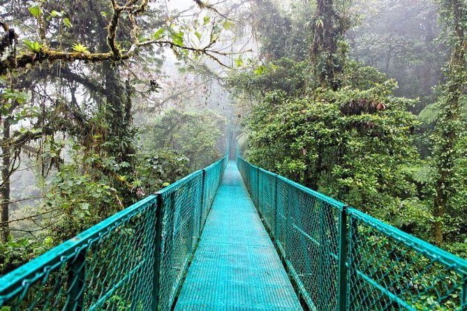 luxury-day-trip-off-the-beaten-path-to-monteverde-rain-forest