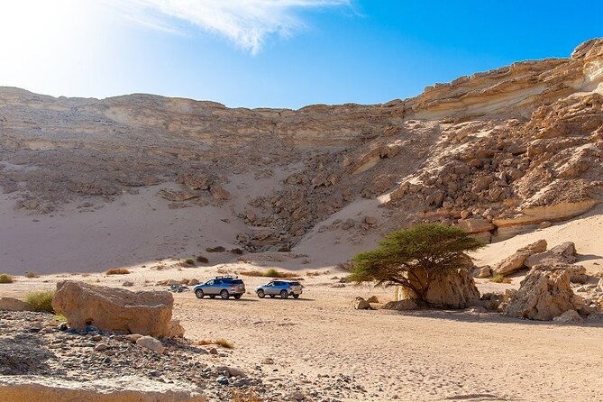 luxury-desert-safari-tour-morning-afternoon-from-hurghada