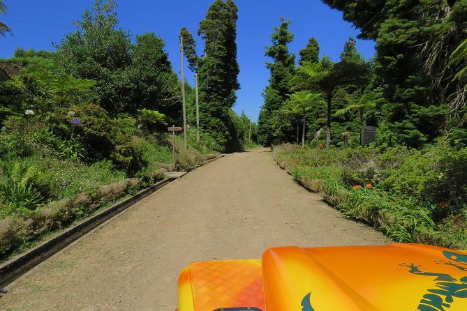 madeira-highlights-guided-4-hour-tour-from-funchal-2
