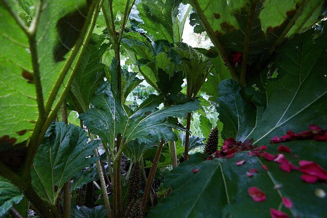 magical-and-exclusive-private-visit-to-the-fonte-baxa-garden-luarca