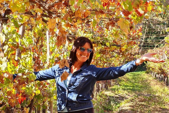 maipo-valley-wine-tour-with-4-vineyards-from-santiago