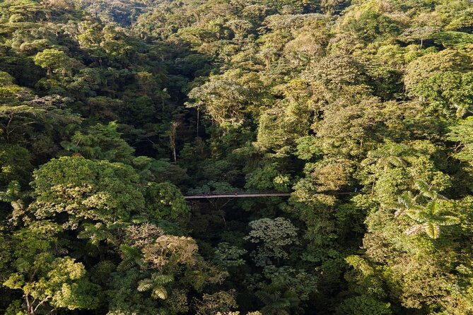 majestic-arenal-volcanoboat-rainforest-hot-springs-guanacaste