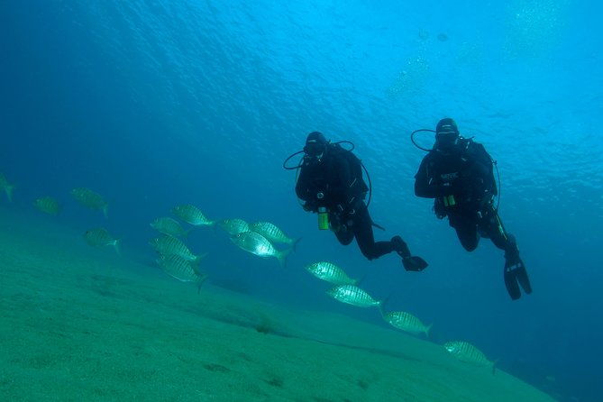 make-a-private-try-dive-for-your-first-scuba-experience