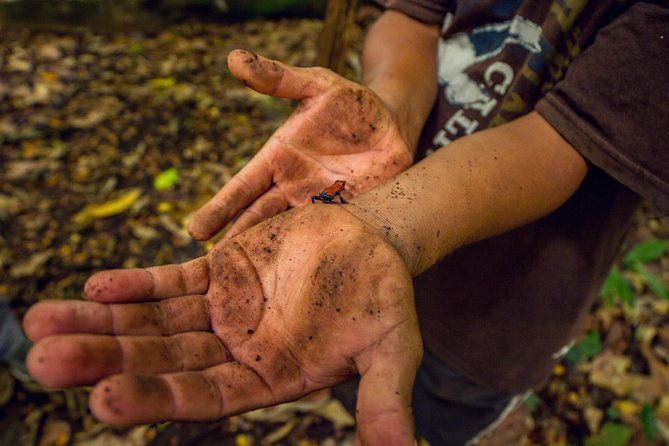 maleku-indigenous-reserve-tour