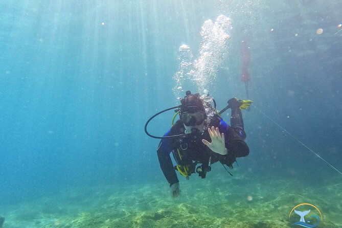mallorca-private-reservationscuba-dive-photo-video-2