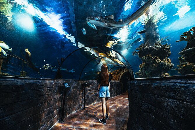 malta-national-aquarium-entrance-ticket