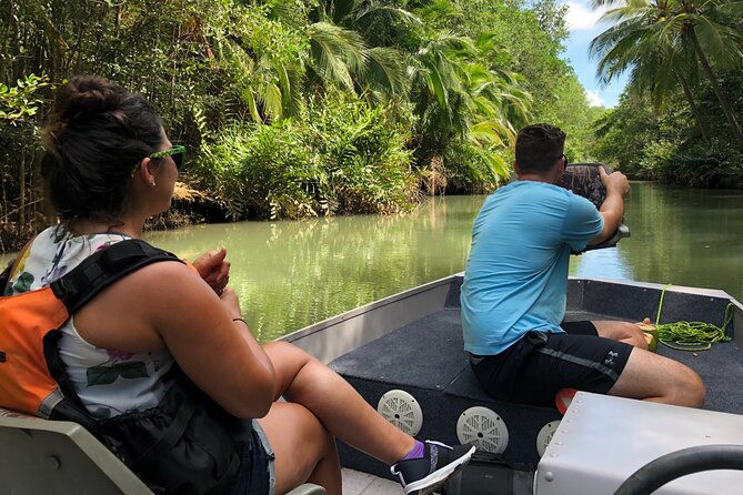 mangrove-boat