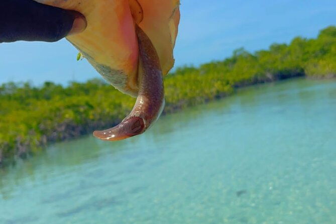 mangrove-cay-and-iguana-island-venture-in-turks-and-caicos-island
