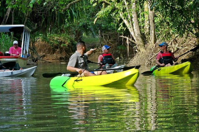 mangrove-kayak-tour-manuel-antonio
