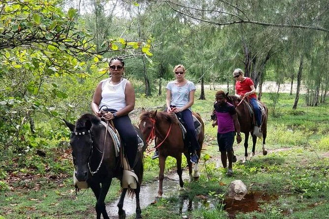 mangrove-tourhorseback-riding-snorkeling-and-beach-in-roatan