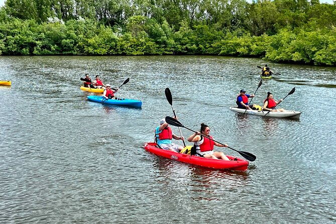mangrove-tunnel-kayak-eco-tour